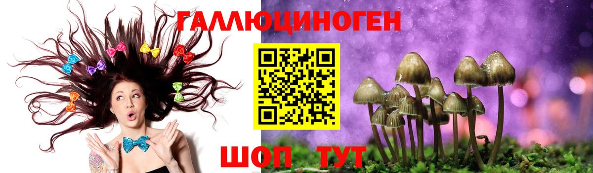 Барабинск  Галлюциногенные грибы MAGIC MUSHROOMS  Вход с VPN 